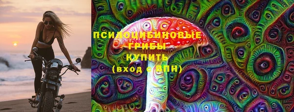 а пвп мука Бородино