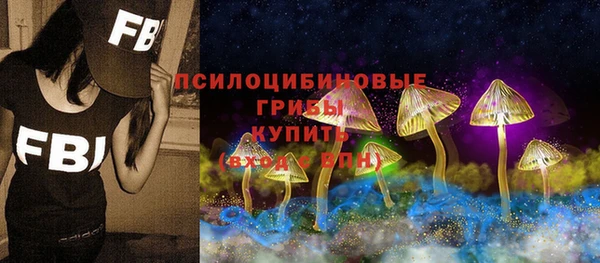 амф Бронницы