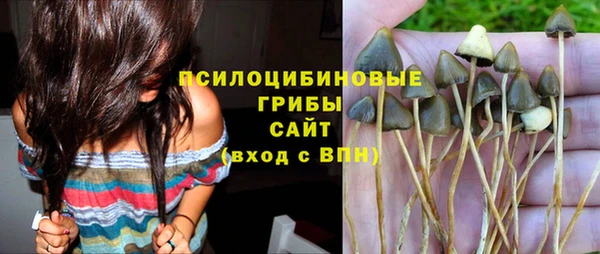 амф Бронницы