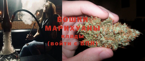 амф Бронницы